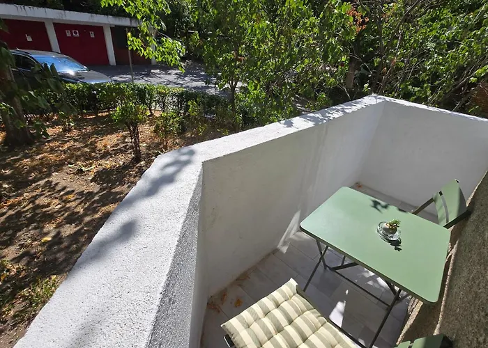 Good Vibe * 크라이오바